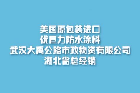 美國原包裝進囗優(yōu)巨力防水涂料施工視屏